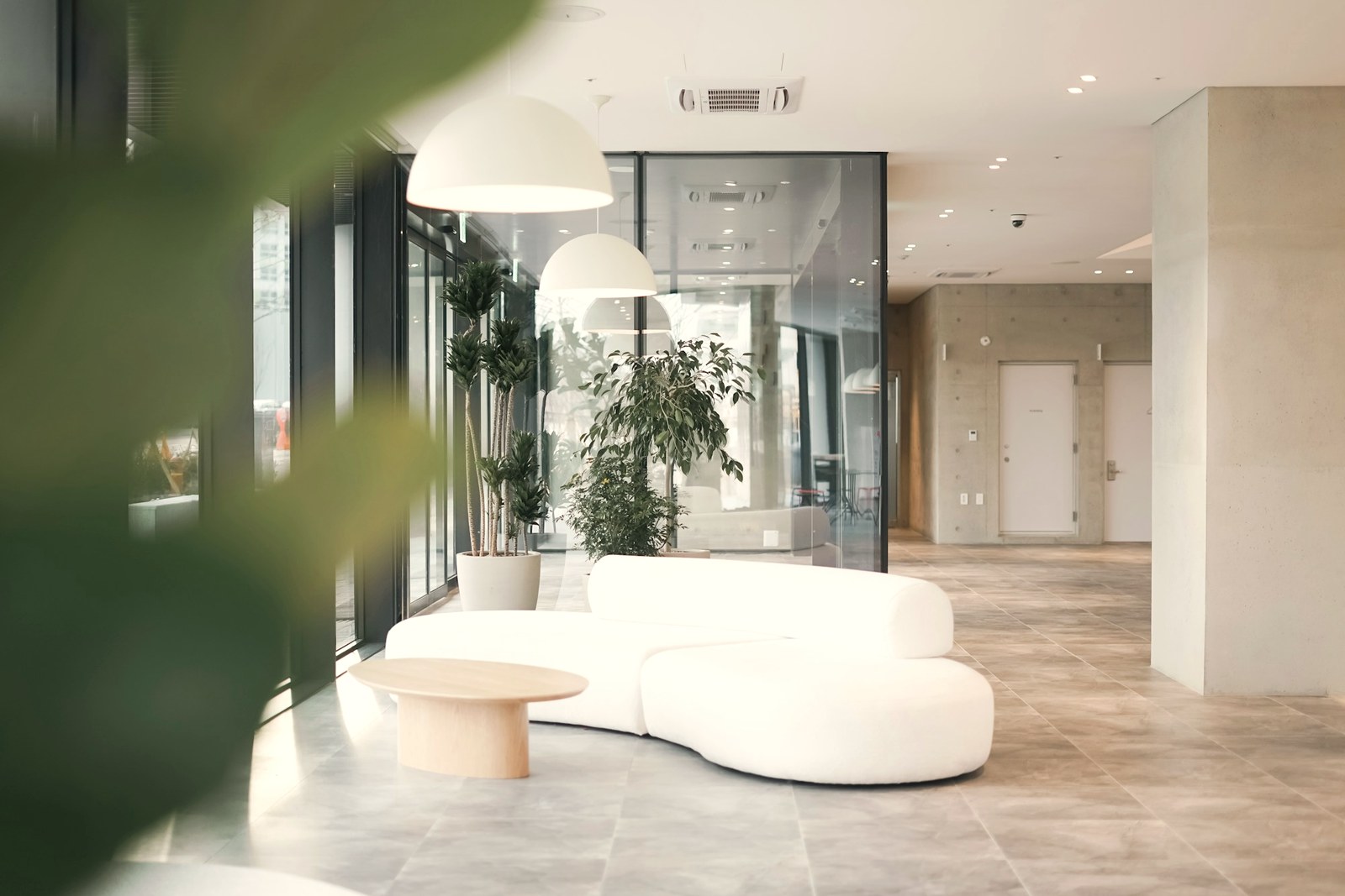 A calm bright modern clinic reception with a wooden desk and plants