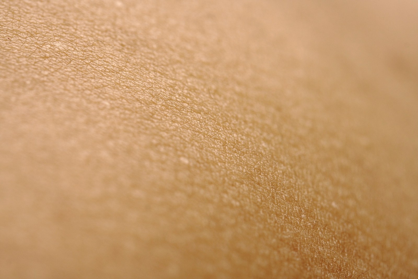 Macro photograph of natural skin texture, the target of a skin booster treatment